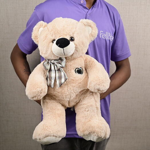 Teddy Diddy 🧸 - 3479