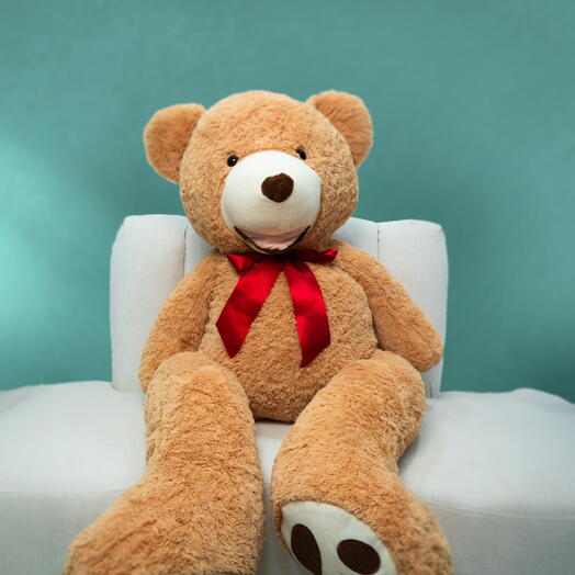 Oso de peluche (Mediano)