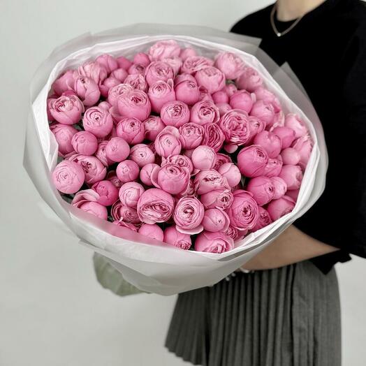 Peony passion