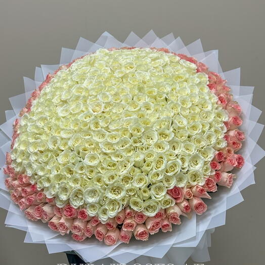 501 Soft Pink Cream White Rose Luxury Larg Bouquet For Anniversary Or Birthday