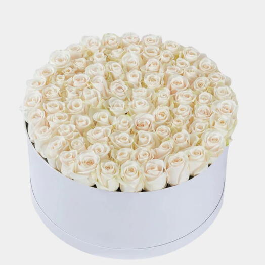 Serene Box- 99 white Rose