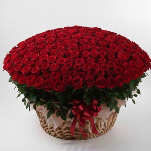 Корзина на День святого Валентина- 501 Красная роза