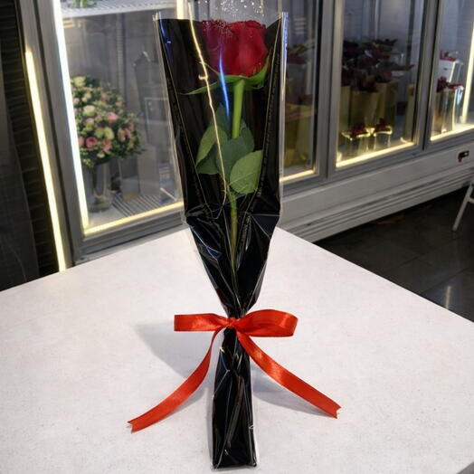 Одна красная роза 4