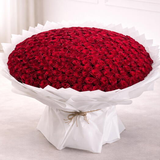 Обещание из 301 роз