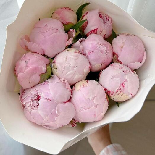 Elegant Pink Peonies