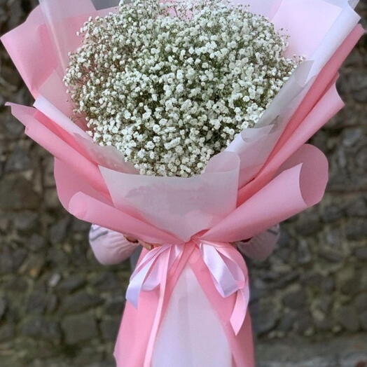 Гипсо с розовым