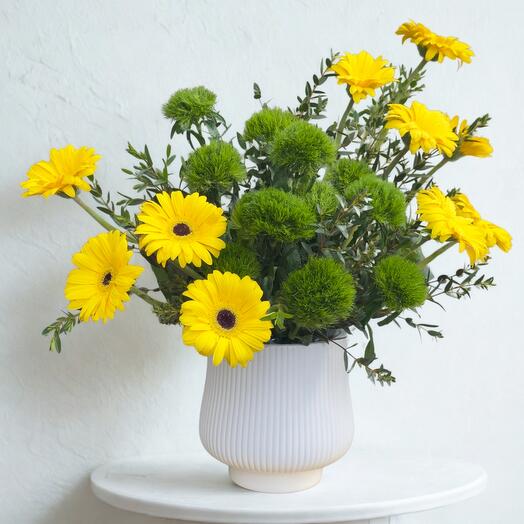 Sunlit Joy – Yellow Gerberas   Kiwi Mellow in White Ceramic Pot