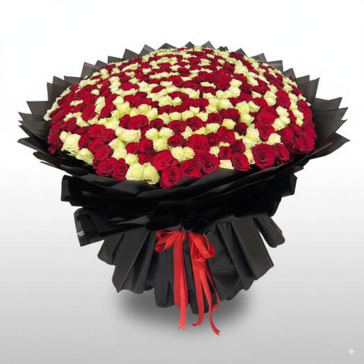Ramo de 500 rosas rojas y blancas