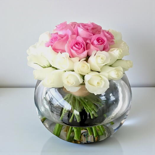 Pink and White Rooses