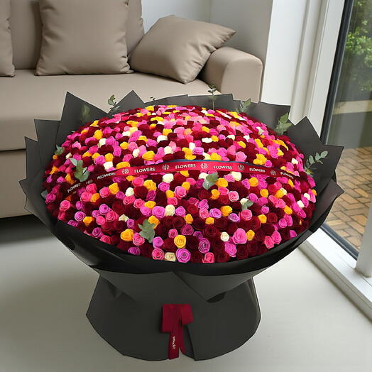 351 COULEUR DE L'AMOUR