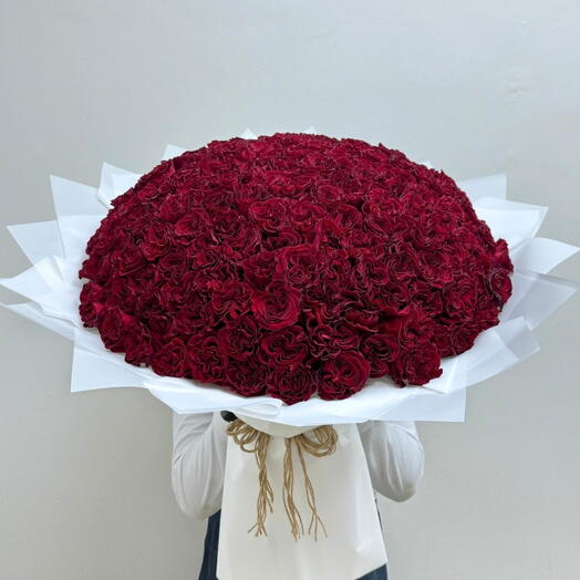 151 The Ultimate Declaration _ Luxury Bold Red Garden Roses Bouquet