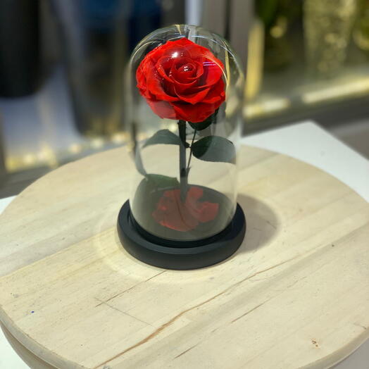 Красная вечная любовь