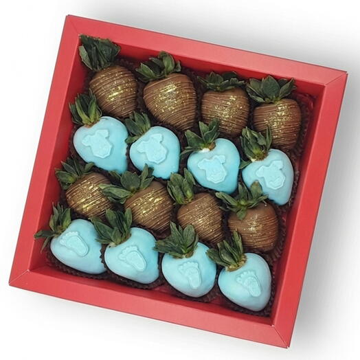 BABY BOY ROYALE - MEDIUM