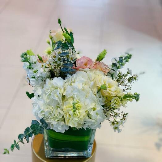 ГОРТЕНЗИЯ   ВАЗА