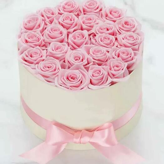 Pink Roses in White Round Box
