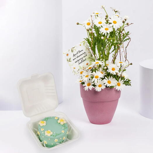 Бенто-торт и цветы в ромашковой тематике