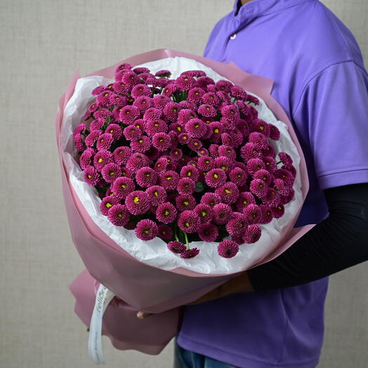 Violet Dream Chrysanthemum-1803