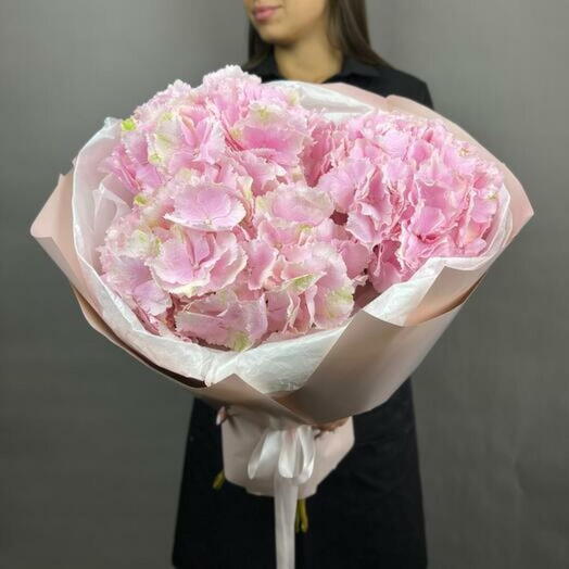 Hydrangea Delight - 3835