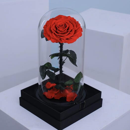 Вечная роза