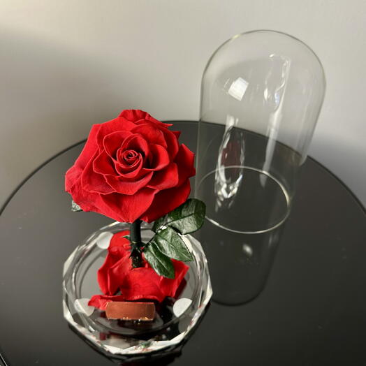 Preserved Red Rose in Glass Dome – Eternal Gift for Birthdays   Love