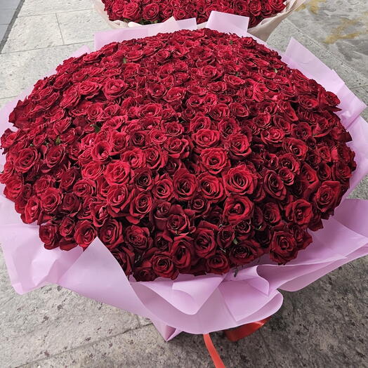 Grand amour rouge (roses rouges)