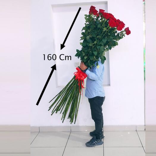 Royal Ruby Stems- 160 Cm Red Roses