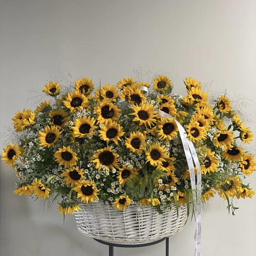 زهور عباد الشمس العملاقة