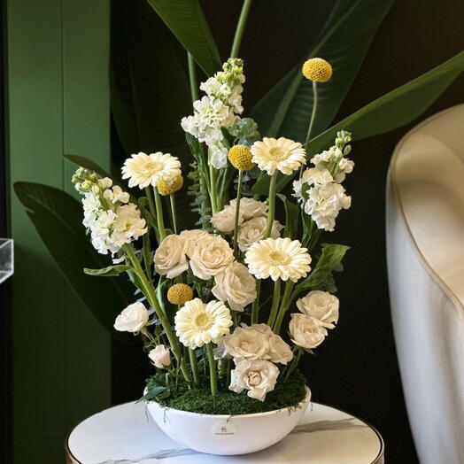 Сад Гармонии Слоновой Кости