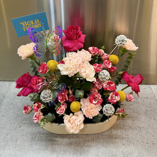 Baby Girl s Butterfly Garden