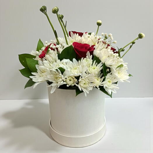 Коробка чистой преданности