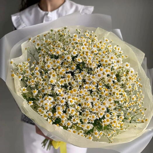 51 Daisy flower bouquet