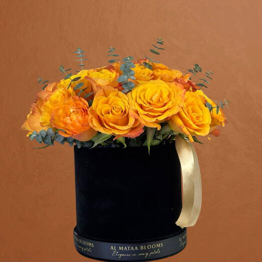 Golden Sunset Velvet Box