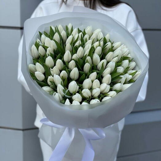 51 белый тюльпан