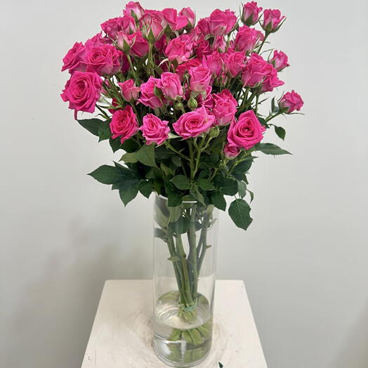 Dark Pink Spray rose Vase 1135