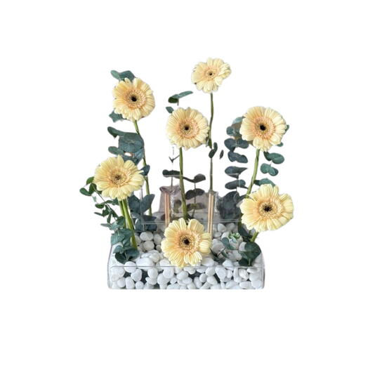 Fresh peach gerbera floral arrangement