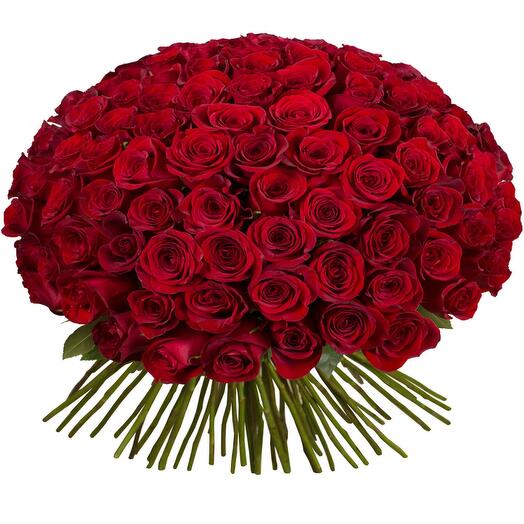 Bouquet de 151 roses rouges-5978