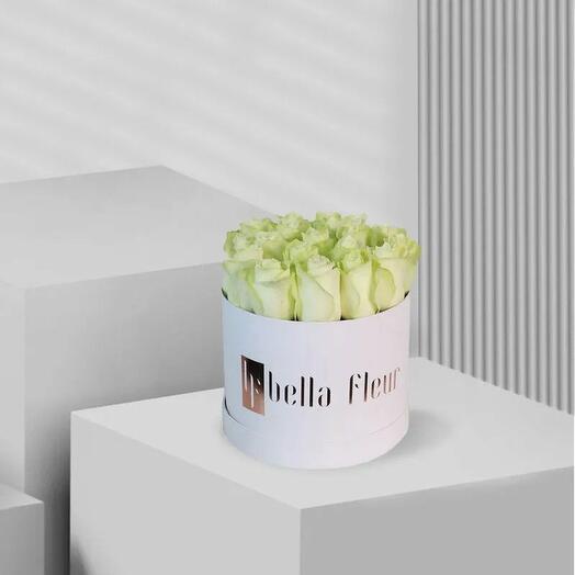 Aviona Bella Box - Medium