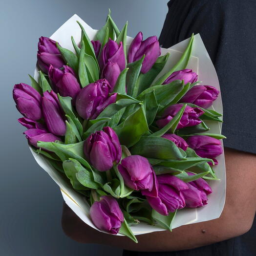 19 Purple Tulip-6039