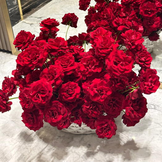 101 roses rouges dans un panier