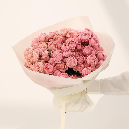 Julietta спрей-роза