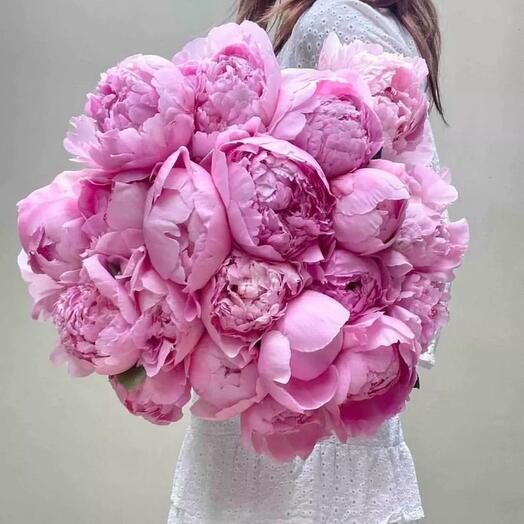 Pink Peony Paradise