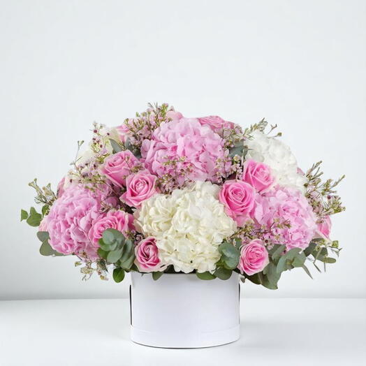 Harmonie d'hortensias en boîte