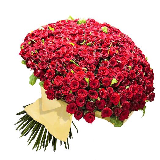 500 Red Roses Giant Bouquet