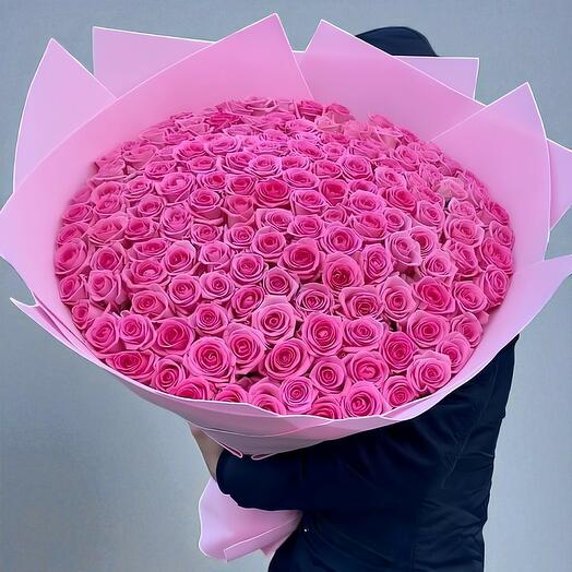 151 розовая роза