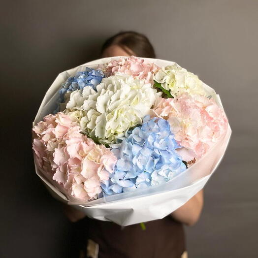 Цветок гортензии