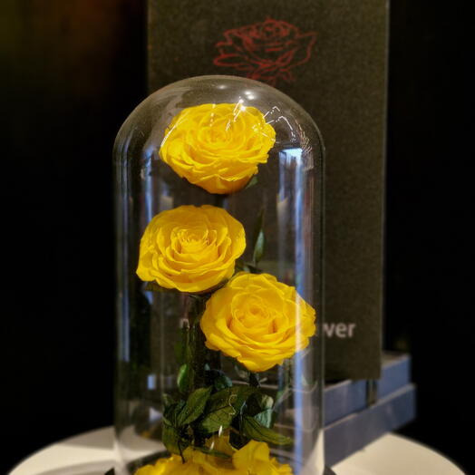 GLASS DOME - ETERNAL ROSES | yellow roses type 2( LARGE)