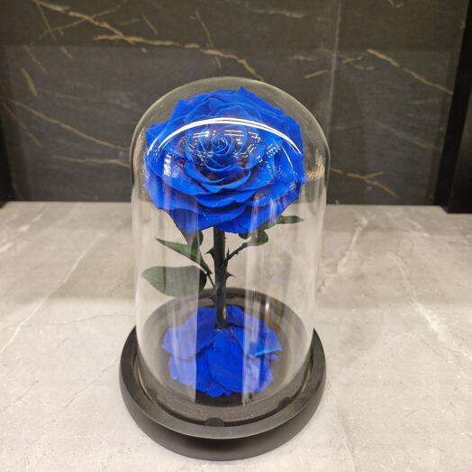 Вечная роза королевского синего цвета