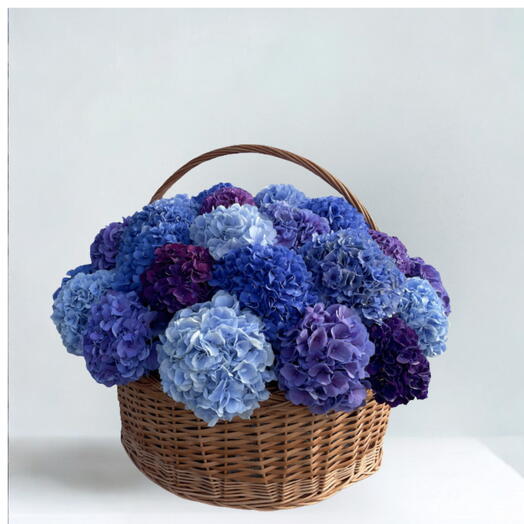 Blue Overload- Cesta de 25 hortensias