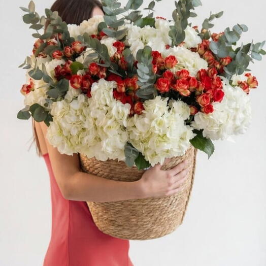 Корзина с красными и белыми гортензиями