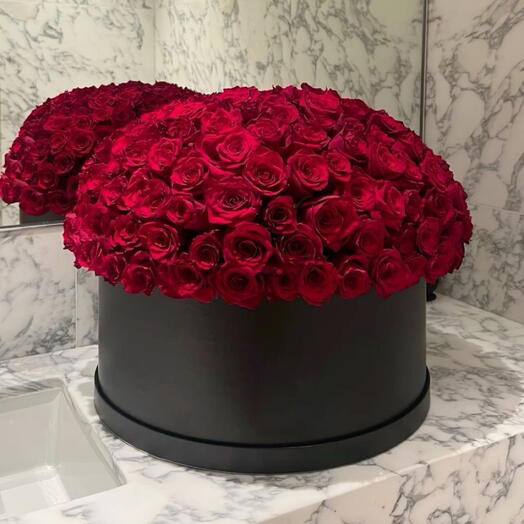 Черные бархатные розы